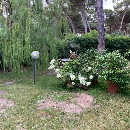 La Casa Di Mishka * Grosseto